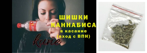 ECSTASY Долгопрудный